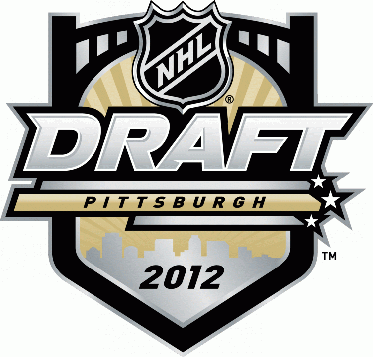 NHL Draft 2012 Primary Logo iron on transfers for T-shirts